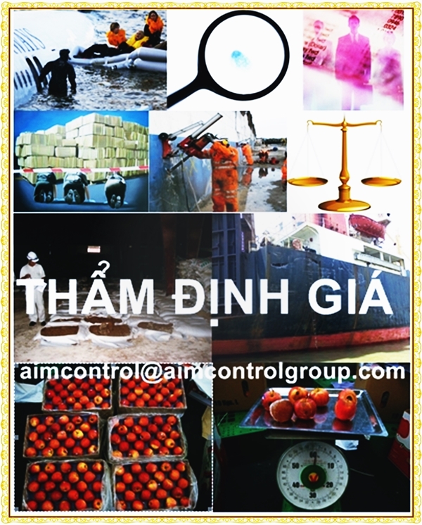 tham_dinh_gia_may_moc_thiet_bi_hang_hoa_tau_bien