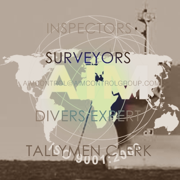 Property Casualty Insurance Claim investigation