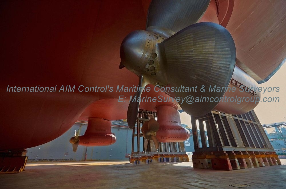 marine-cargo-surveys-and-consulting-in-vietnam - 5