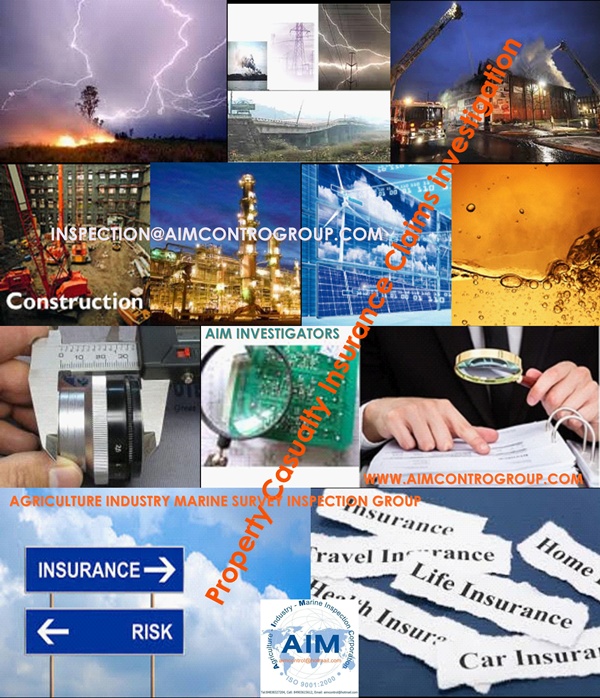 AIM_Property_Casualty_Insurance_Claim_investigator