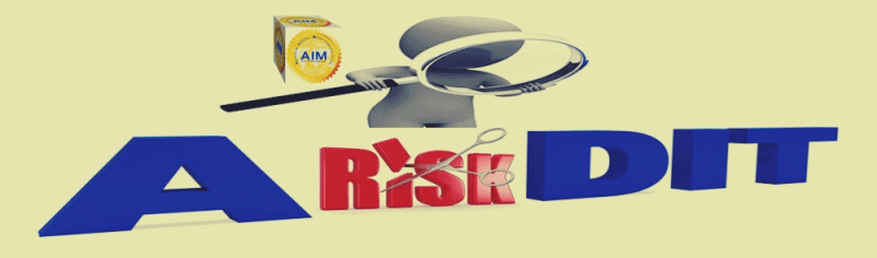 Business_Safety_Assessment_Audit_Vietnam_Inspection_Services_Company