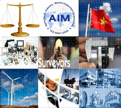 Vietnam Inspection Service