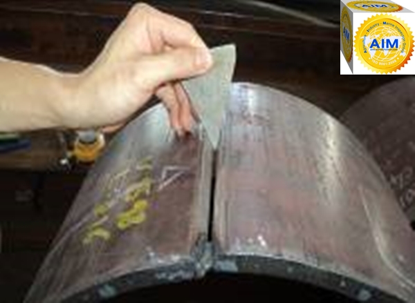 Vietnam_inspector_surveyor_tally_men_investigator_Inspection_Services_Company_6